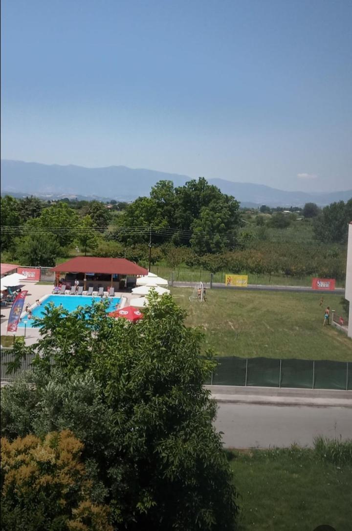 Konstantinos * Olympiakí Aktí